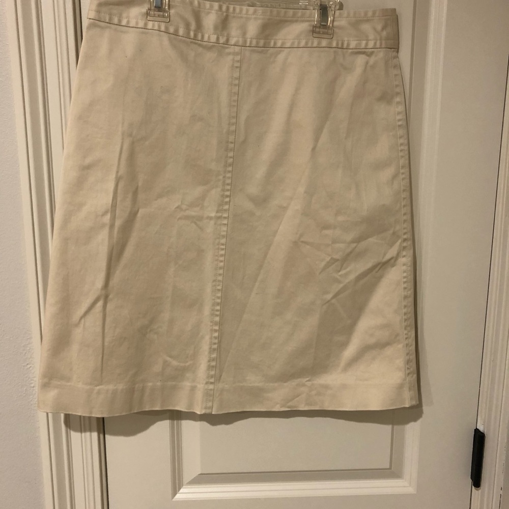 Banana Republic Skirt